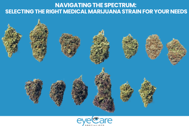 Navigating the Spectrum Selecting the Right Medical Marijuana Strain for Your Needs